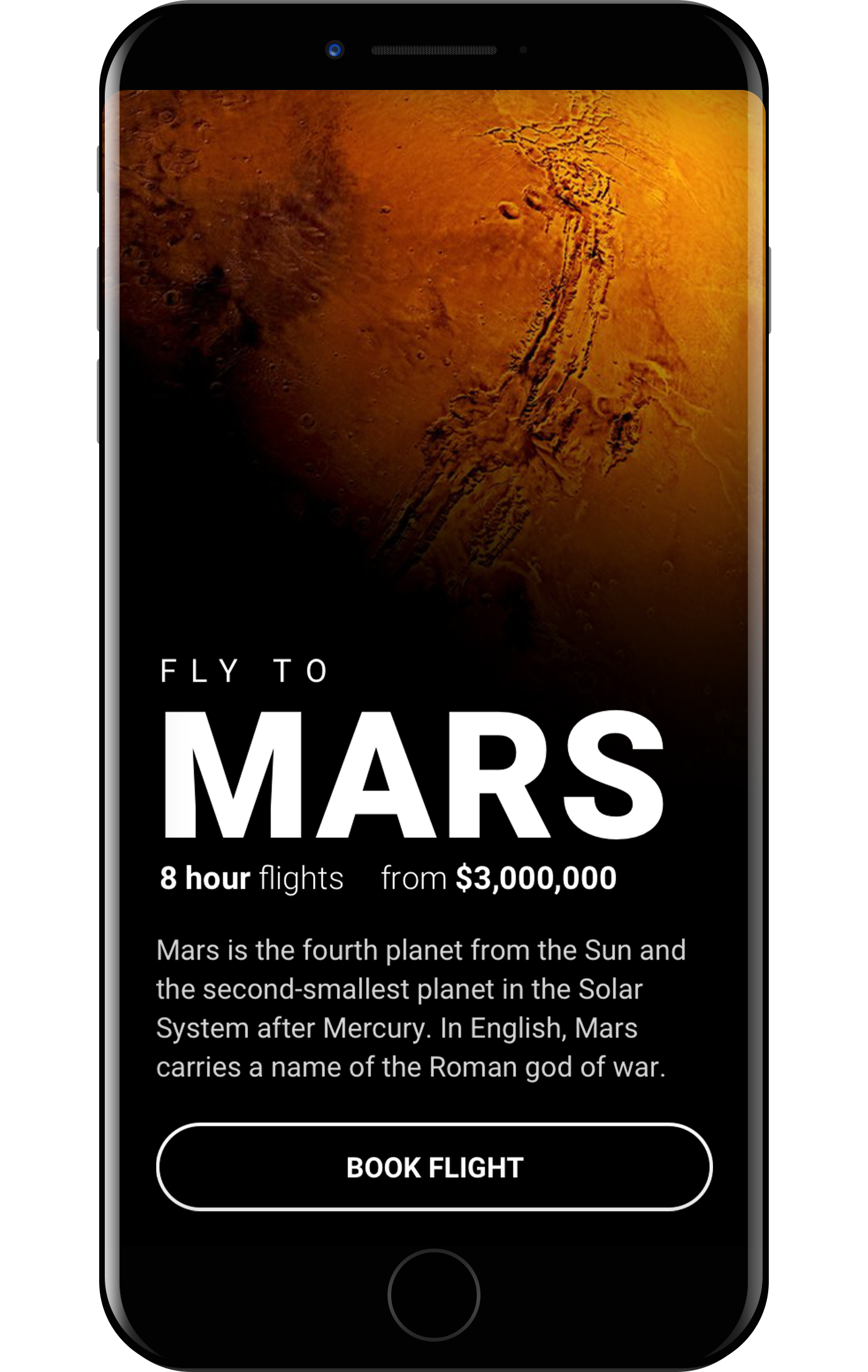 Mockup choose mars fly